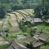 Photo de Bali - Baturiti